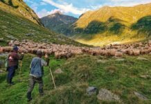 Már egy okostelefonnal is lehetsz elismert fotós Már egy okostelefonnal is lehetsz elismert fotós