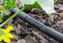 Öntözőrendszer: A Kertgazdaság Megbízható Mestere Öntözőrendszer