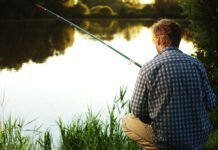 Feeder botcsalád telepített tavakra vagy vadvízi horgászatokhoz