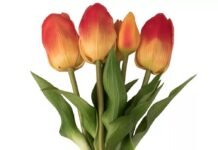 Az élethű művirágok elhozzák a tavaszt minden évszakban