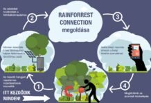 Öreg okostelefonokkal harcolnak az esőerdő-irtások ellen A régi okostelefonok és a legújabb technológiák kombinációjával harcolhat az emberiség az illegális esőerdő-irtások ellen.
